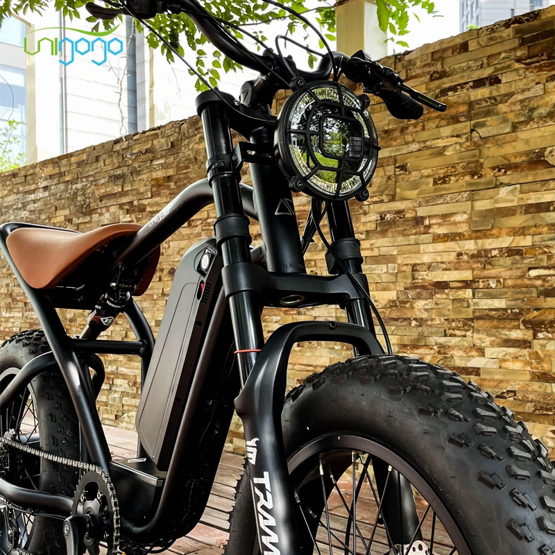 Usa Warehouse Ready Stock Electric Bike 1000w 20inch Fat Tire E-Bike 750w Urban Electric Bicycle 25km/H Adult Fatbike