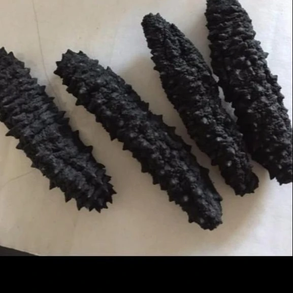 HIGH QUALITY DRIED SEA CUCUMBER -WHITE TEAT FISH- BLACK PRICKLY FISH