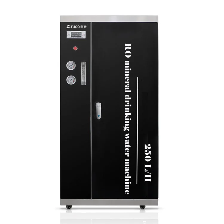 250LPH mineral drinking water Reverse osmosis machine with 100L stainless steel tank