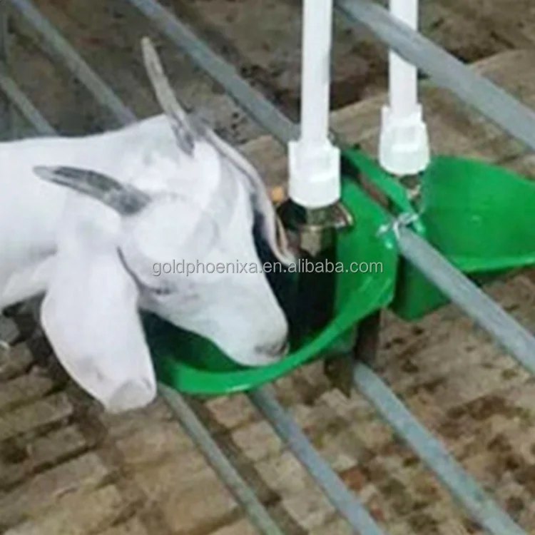 TYC PH76 Automatic poultry sheep goat cattle cow drinking bowl animal drinkers and feeders