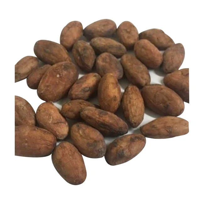 High Grade Fermented And Dried Hot Sale Cheap Bulk NaturalOrganic Peruvian Cacao Cocoa Beans From Peru