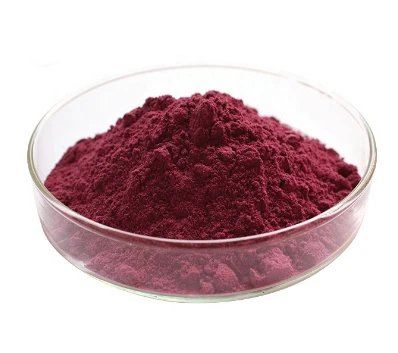 Natural high-quality black currant P.E/black currant extract anthocyanin