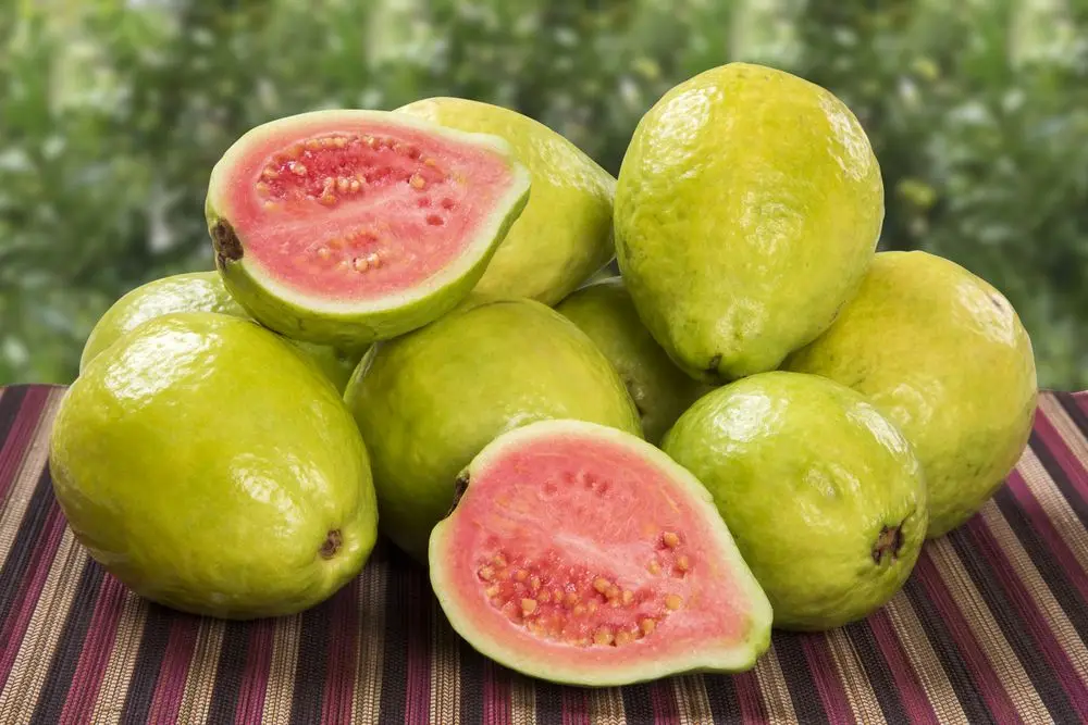 Хороший экзотический вкус свежий Feijoa Guava Steen