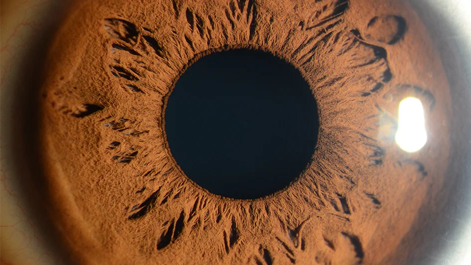 THR-SER Cheapest Ophthalmic Digital Slit Lamp Prices Optical Instrument For Sale