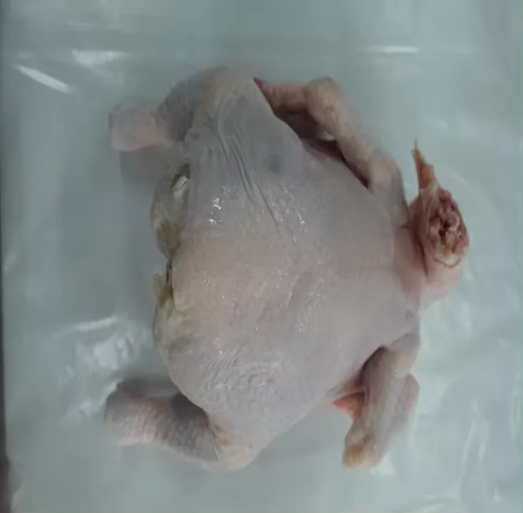 China factory price Perfect Premium Grade Frozen Whole Chicken  Quality  Frozen Whole Chicken and Parts Frozen Whole Chick