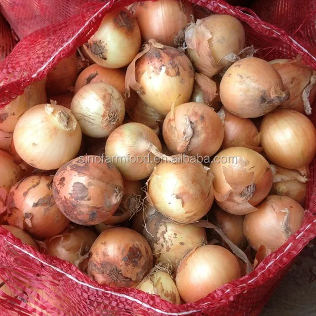 yellow onion price ton on fresh red onions for sale by onion suppliers