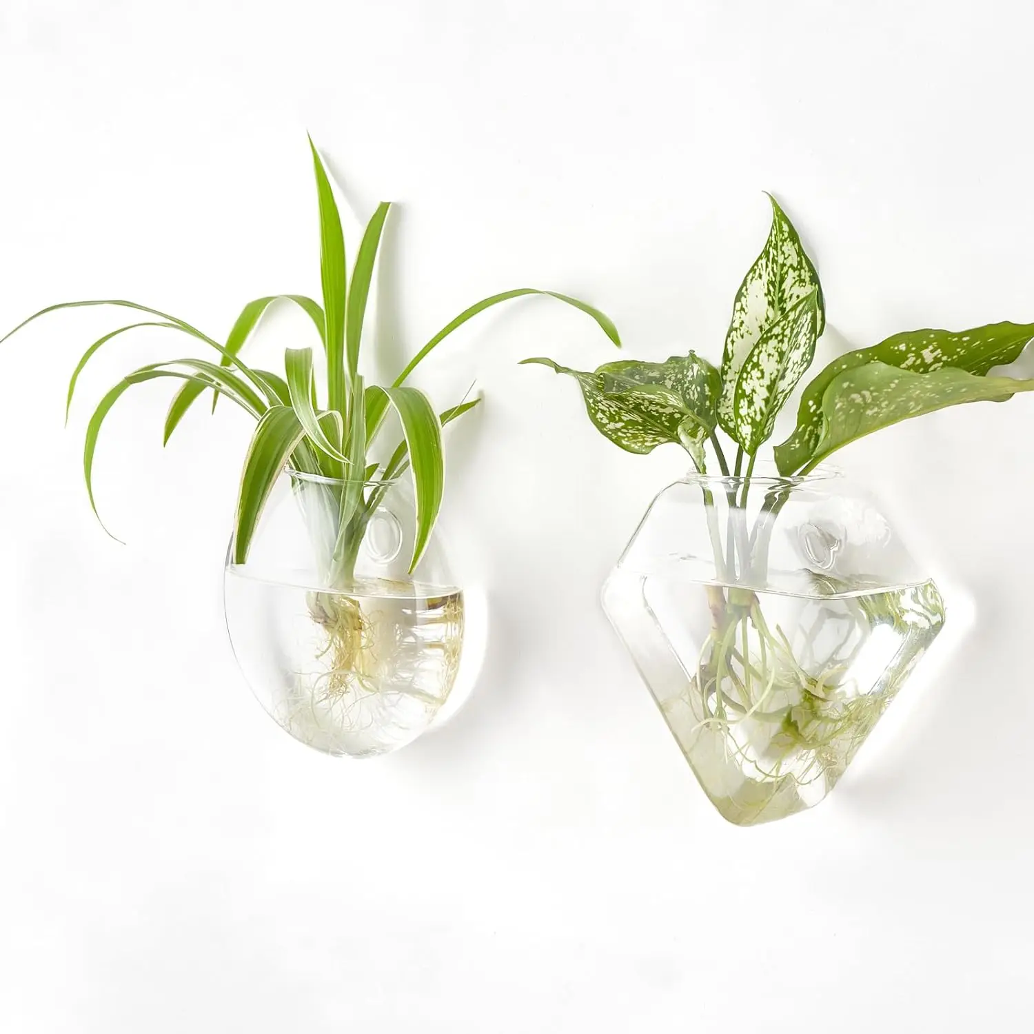 Modern design transparent wall hanging glass plant terrarium decorations for home