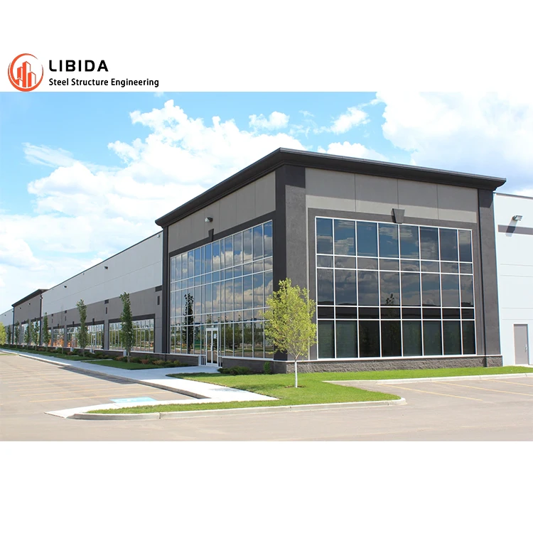 Professional Designed Steel Structure Workshop Prefab Store Steel Structure Building Industrial Warehouse