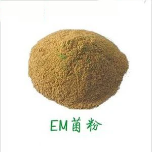 Top Supplier Good Quality Effective Microorganisms to reduce waste volume