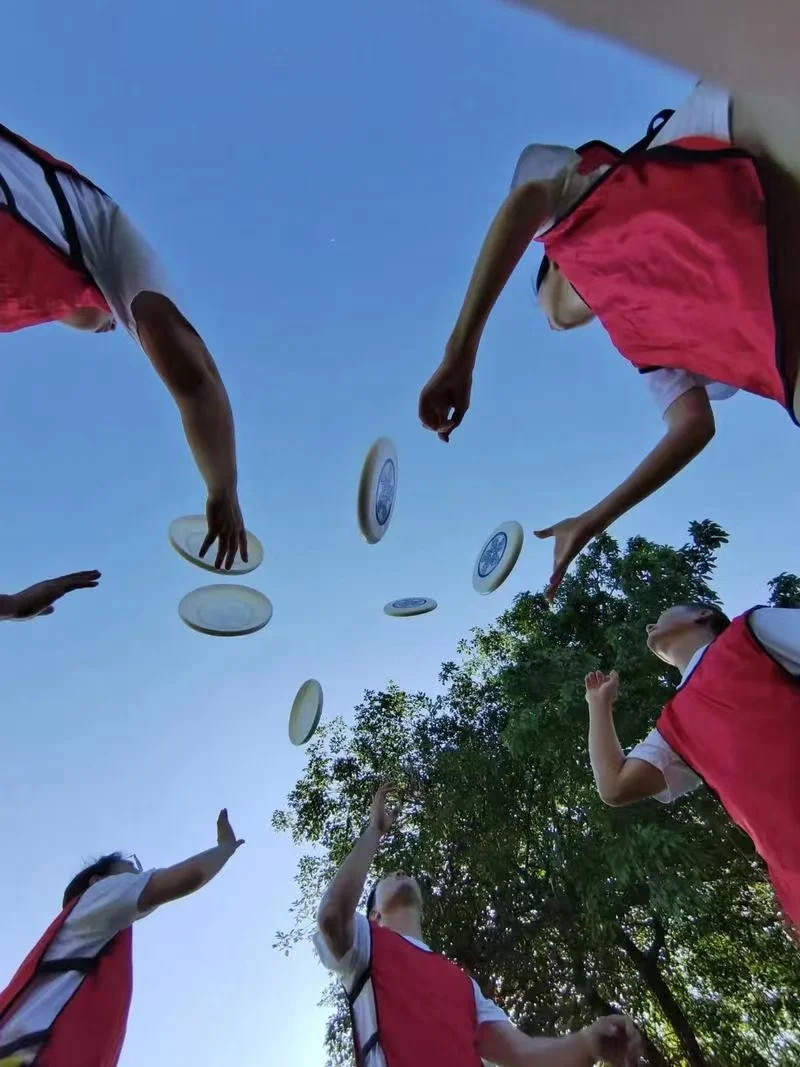 175g Custom Frisbee  Adults professional Frisbee adult outdoor camping sports