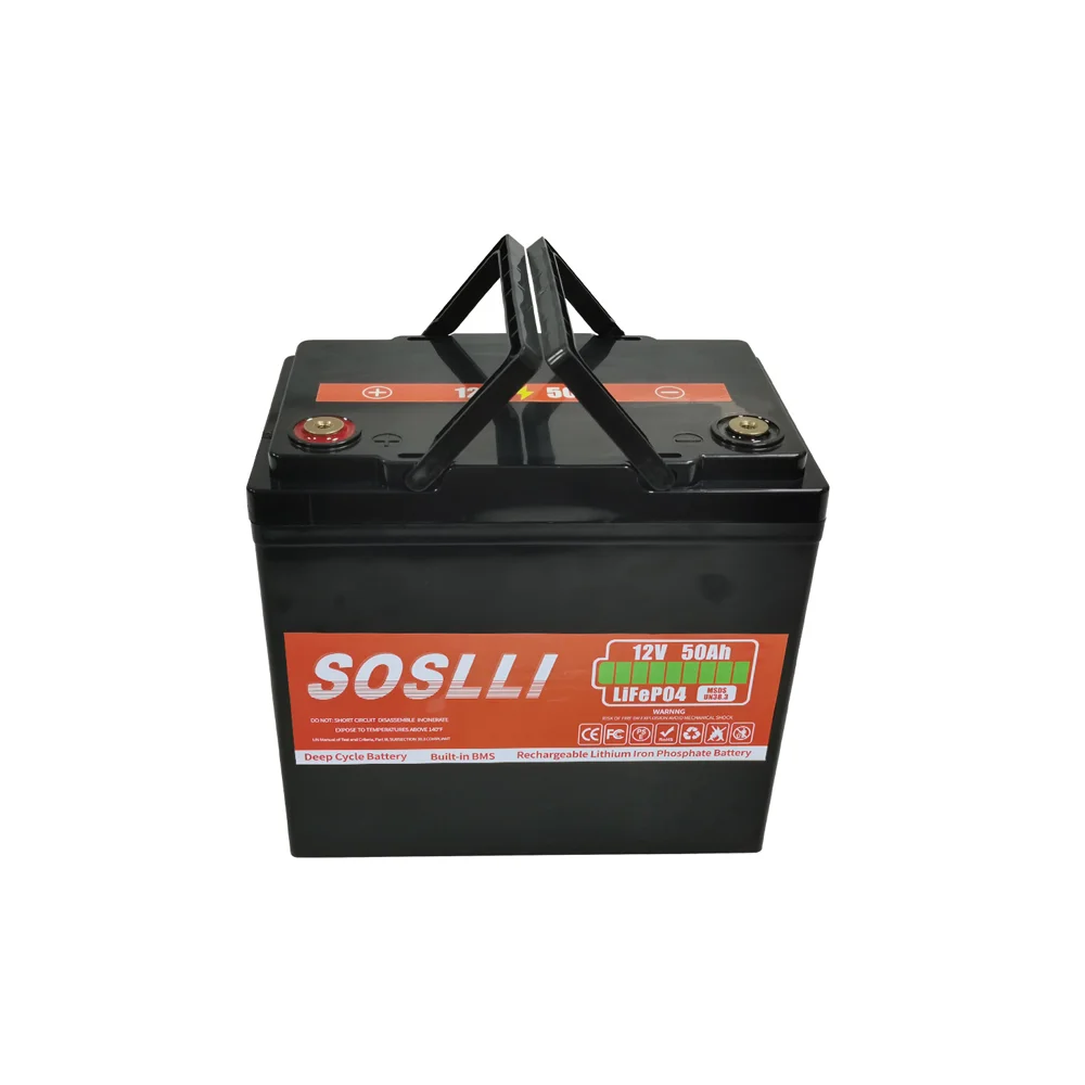 Custom LifePo4 12V Energy Storage Battery 50Ah 100Ah 200Ah LifePo4 Battery With BMS Waterproof Case Lithium Ion Batteries Pack