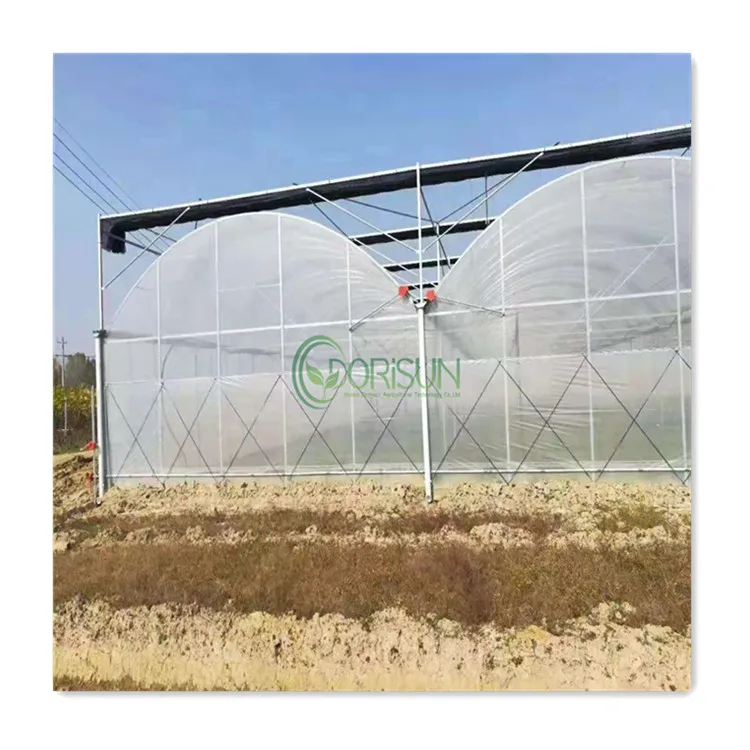 Popular Low Cost Commercial Greenhouses  Insulation Tunnel Greenhouses Heating Systems Multi Span Greenhouse For Walking