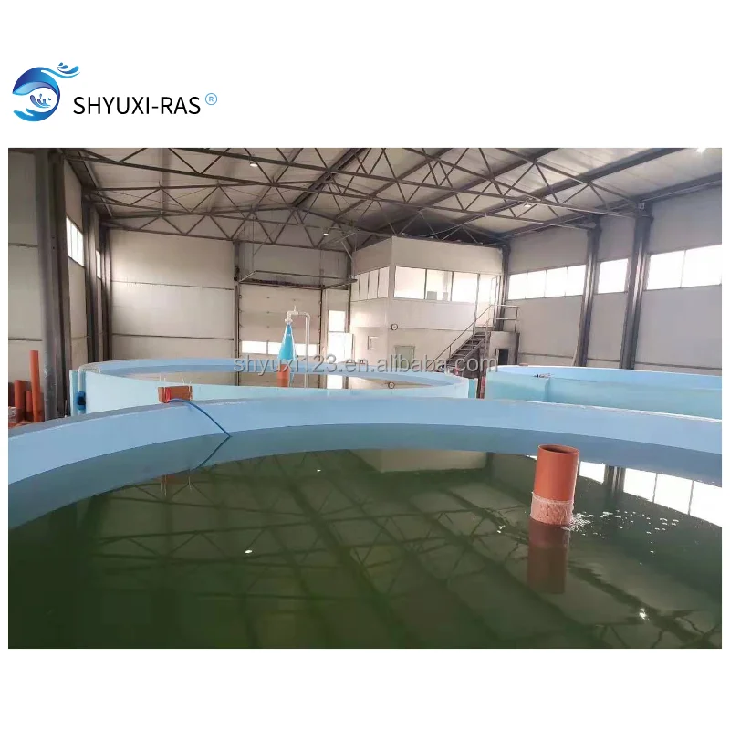 
Sturgeon Farm Closed Recirculating Aaquaculture System ras machine ras filtration 