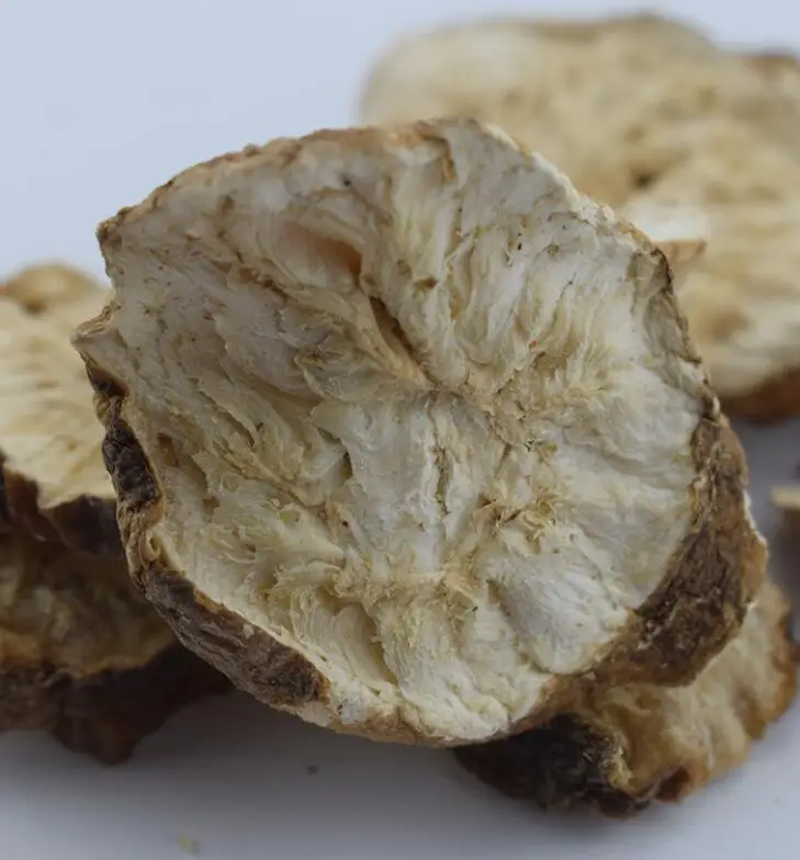 Ju ju bulk dried natural tea RAW Chicory root cuts Cichorii intybi radix for tea