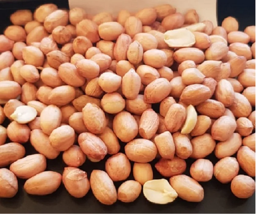 BEST FACTORY PRICE JAVA PEANUT 50 60 COUNT SUPPLIER BULK EXPORTER SELECTED QUALITY SORTEX CLEAN LOW MOISTURE