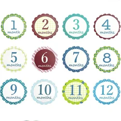 2021 popular month holiday grown up gift newborn baby stickers milestone