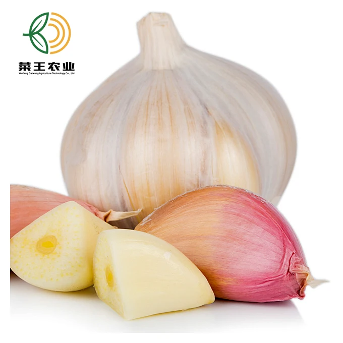 
2021 New Crop vegetable normal white fresh peeled fresh garlic galic price packed by mesh bag 