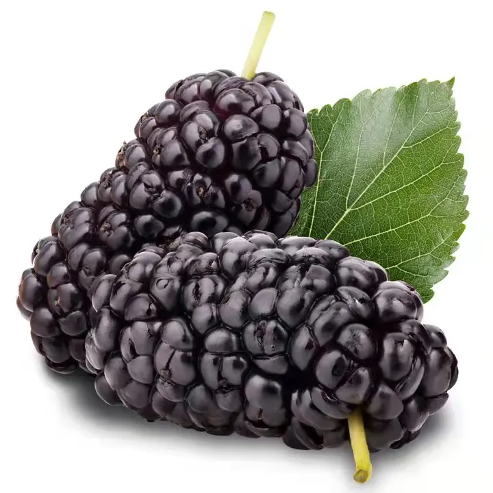 Mulberry Edible Baking Essence For Ice Cream Or Beverages Or Chewing Gum