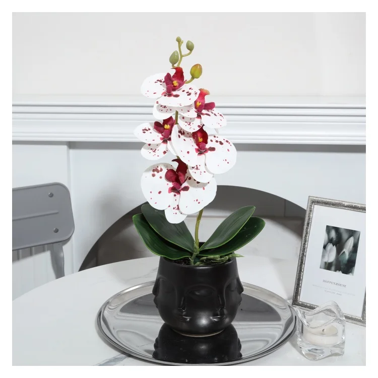 YX230316-5P Wholesale Real Touch Artificial Five Headed Phalaenopsis with Leaves Decorations For Home