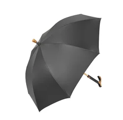 Wholesale fashionable cane umbrella large long handle gift umbrella with printable logo