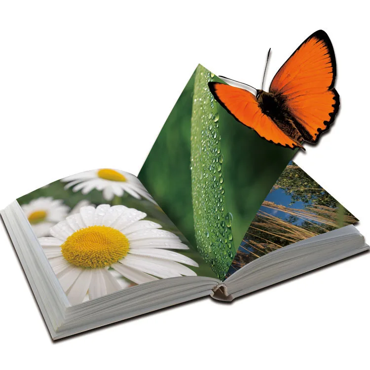 Wholesale Custom Book Printing Custom Cover Printing Fashionable Home Decoration Modern Book Ends Decorative Books