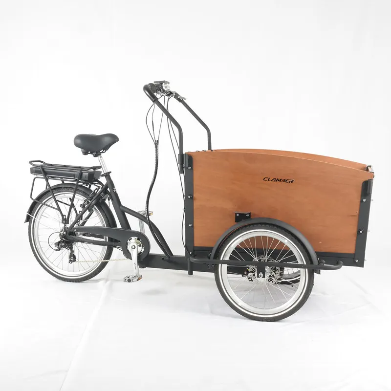 36V 250W DAPU/BAFANG motor 10AH lithium battery 3 wheel electric cargo trike tricycle E-cargo bike