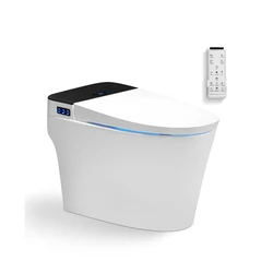 European Sanitary Ware Commode Bathroom Smart Electric Automatic Deodorization Siphonic One Piece Smart Ceramic Toilet