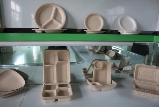 disposable paper pulp tableware/biodegradable food container
