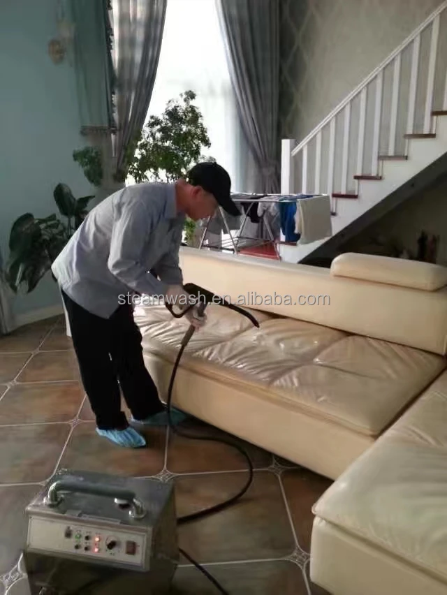 Steam Mattress Sofa Vacuum Integrated Cleaning Machine to Kill Bed Bugs