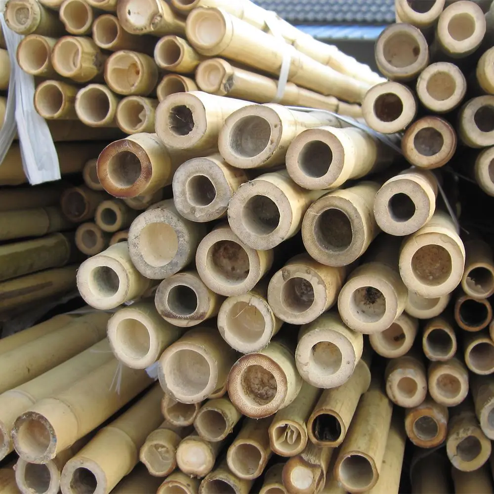 Wholesale natural straight bamboo pole artificial bamboo poles