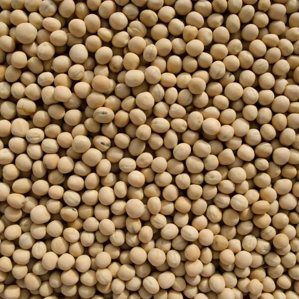 whole yellow peas Yellow peas whole / yellow peas / yellow whole hulled peas / whole yellow peas / yellow whole hulled peas