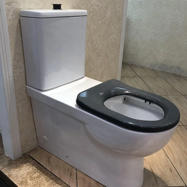 2023 European Over Height Toilet Bowl Floor Mounted Two Pieces Handicapped Disabled Toilet
