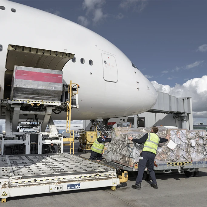 India shipping agent door to door service from china Sea/Air/FCL/LCL Freight Forwarder FBA Ddp/FedEx/UPS/DHL Express to India