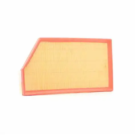 Hotselling China OEM Filter  Pu Car Air filter High Quality Filter A6540940004