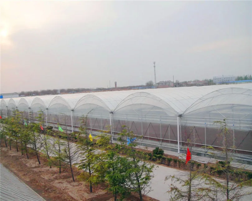 
Complete hot galvanized steel structure frame Japan design Polycarbonate Sheet Greenhouse project turnkey project 