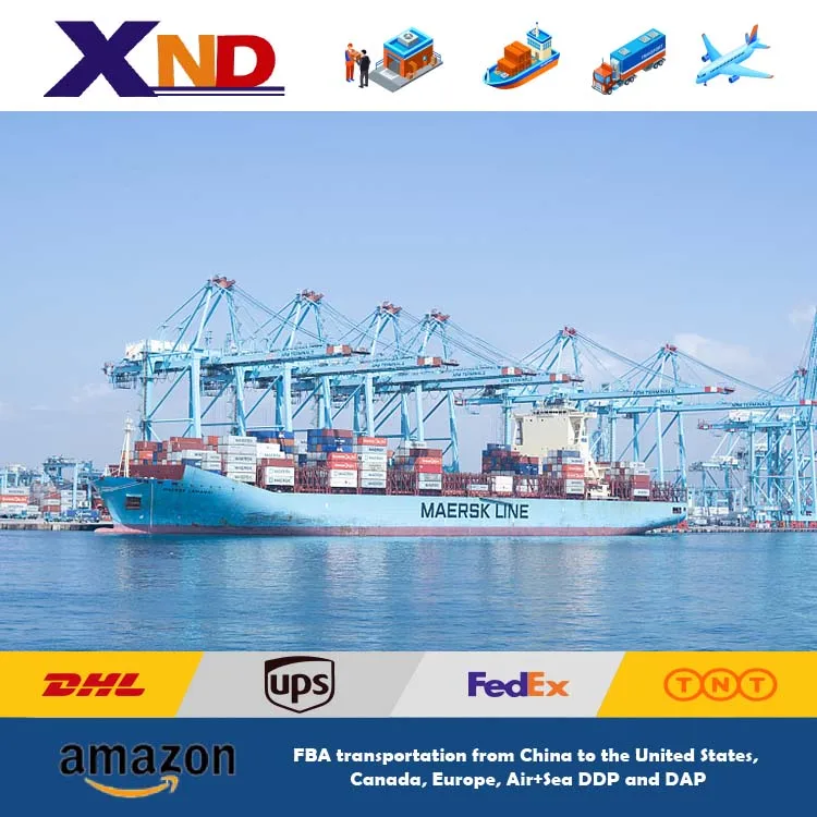 Amazon Cargo DDU DDP Shipping Sea Freight Forwarder Cheapest Charge Rates Ocean Reliable low price door to door