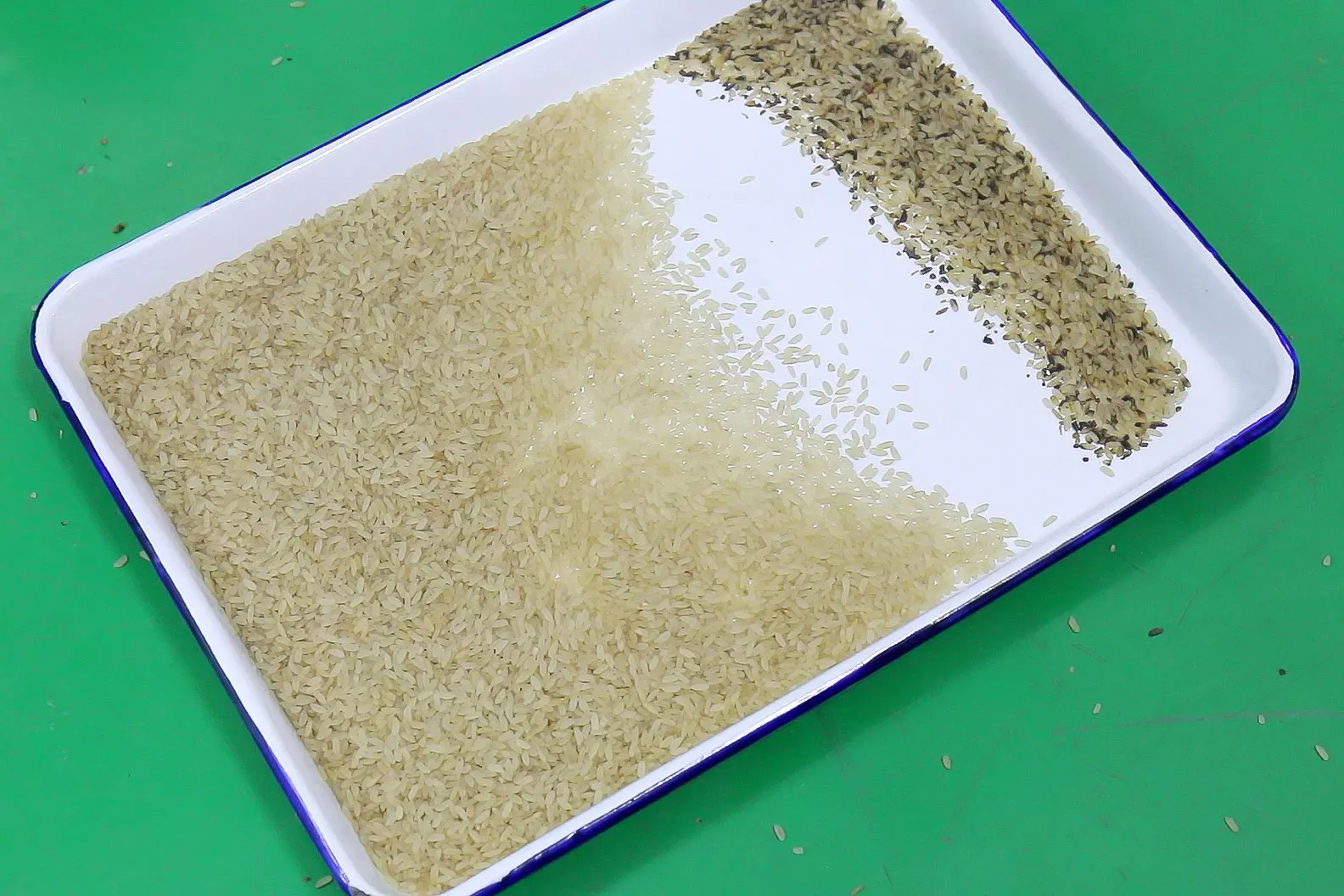 Сортировщик риса высокой емкости/машина для разделения риса на продажу