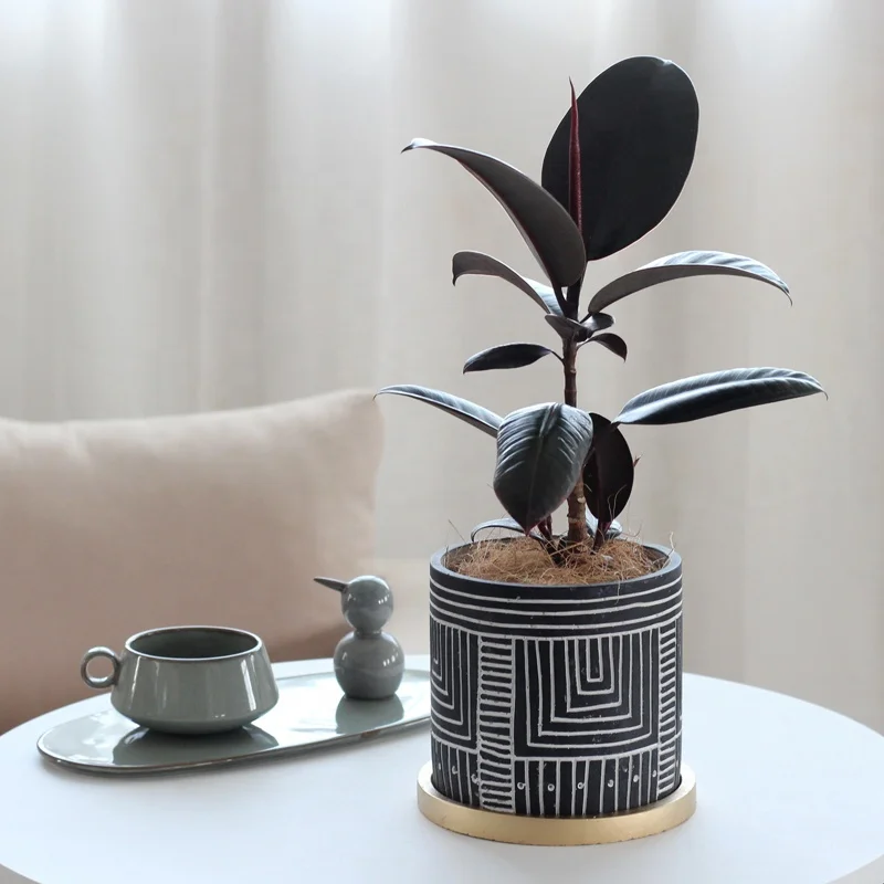 Antique design cement flower pot vintage style flower pot with tray painted golden saucer for living room