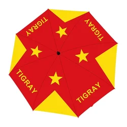High Quality Custom Printing Folding All Season Fashion Automatic Tigray Flag Umbrella for Outdoor