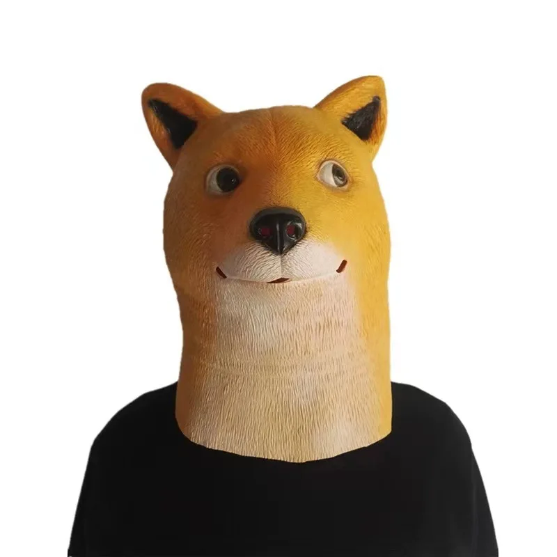 -13.jpg