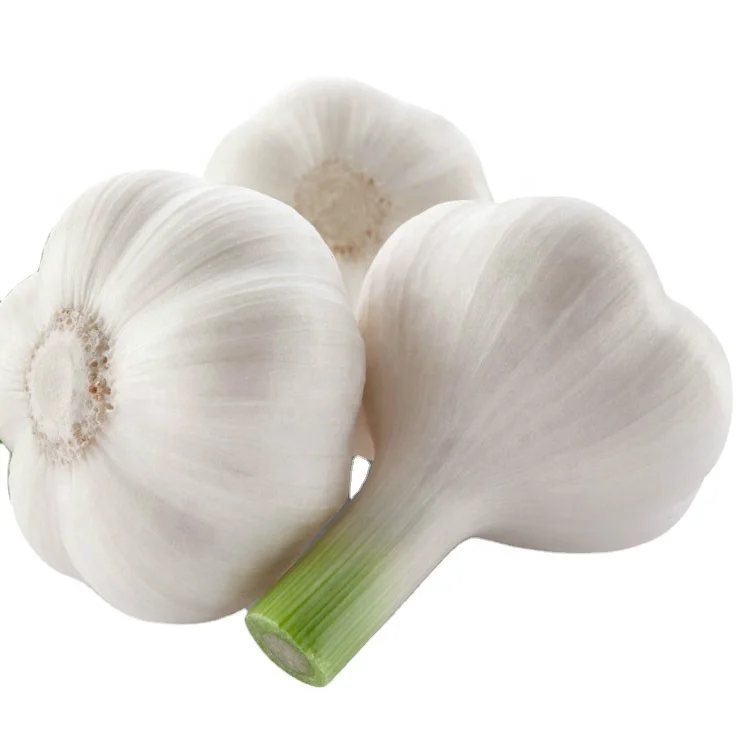 Big Garlic honan Agriculture seed companies onion and garlic storage santol