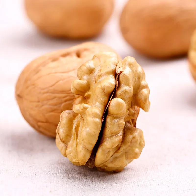 Best Selling Walnuts In Dubai Thin-Skinny Walnut Shell Price Xinjiang 33 Type walnuts in-shell chandler Buyers