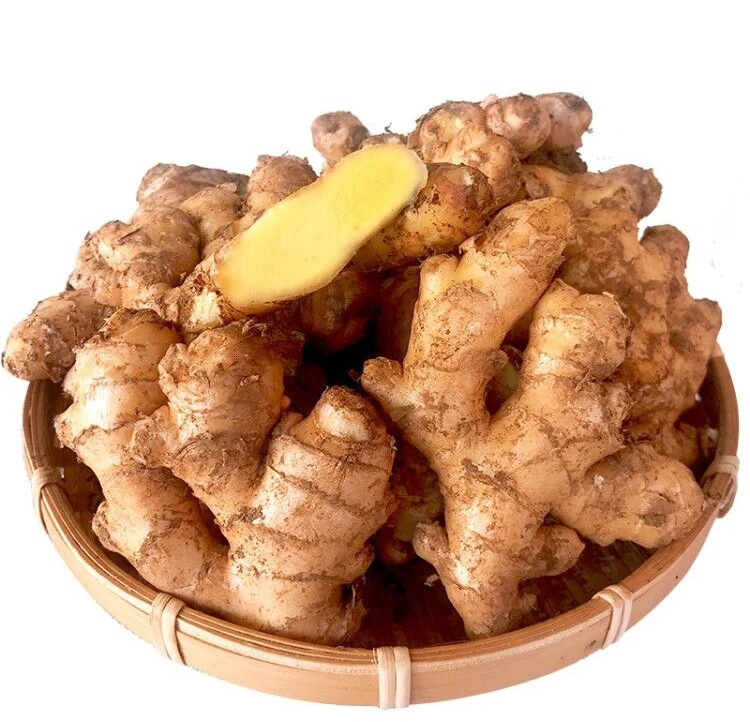 Wholesale Yunnan is digging small yellow ginger fresh from China/fresh ginger