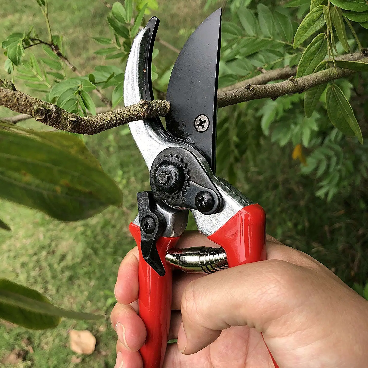 Source Factory Professional Garden Tool Scissors Steel Curved Blade Pruning Shears Flower Cutting Pruner