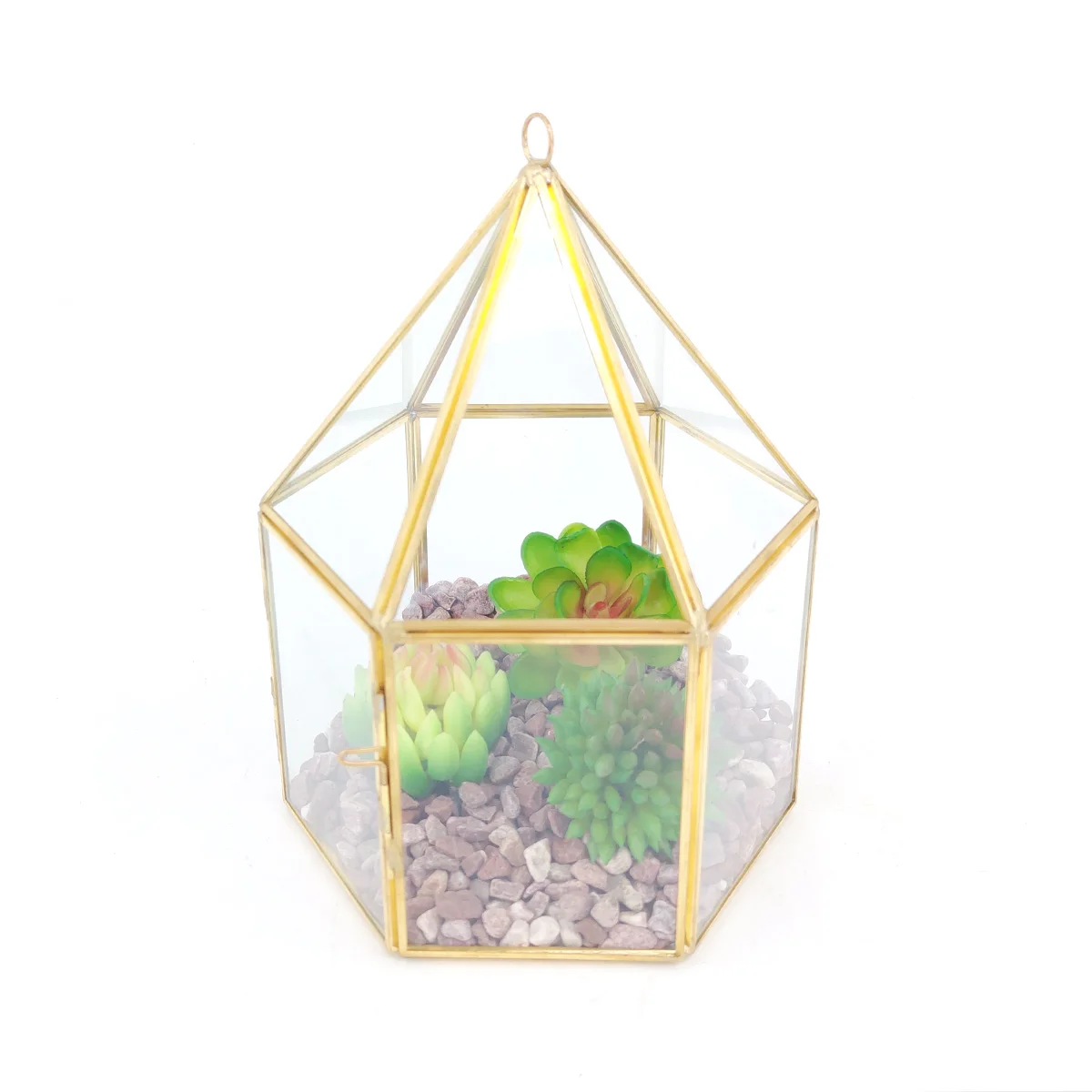 Hanging vertebral gold metal geometric glass terrarium air plants holder tabletop succulents planter box