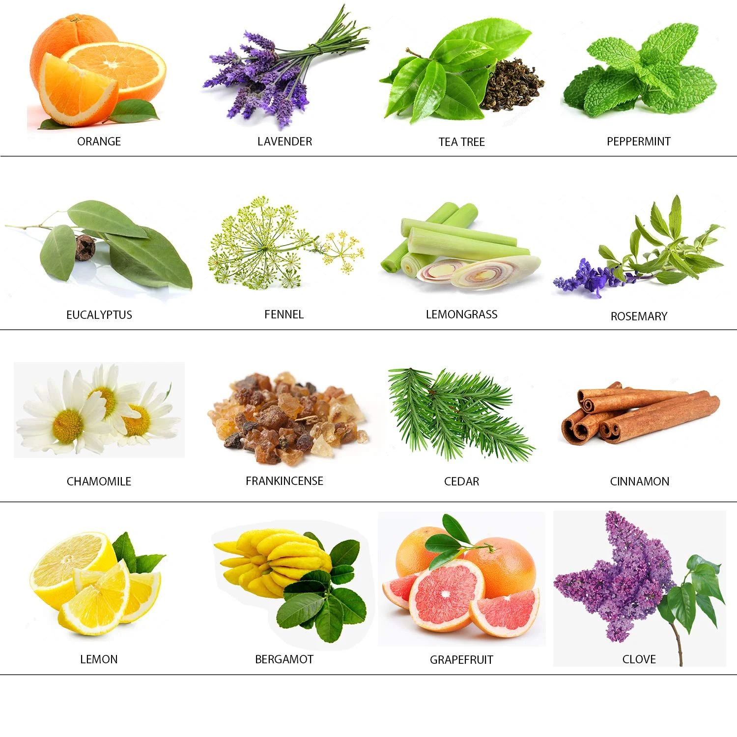 Wholesale 100% pure essential oil lavender eucalyptus frankincense rose custom private label essential oil Aromatherapy