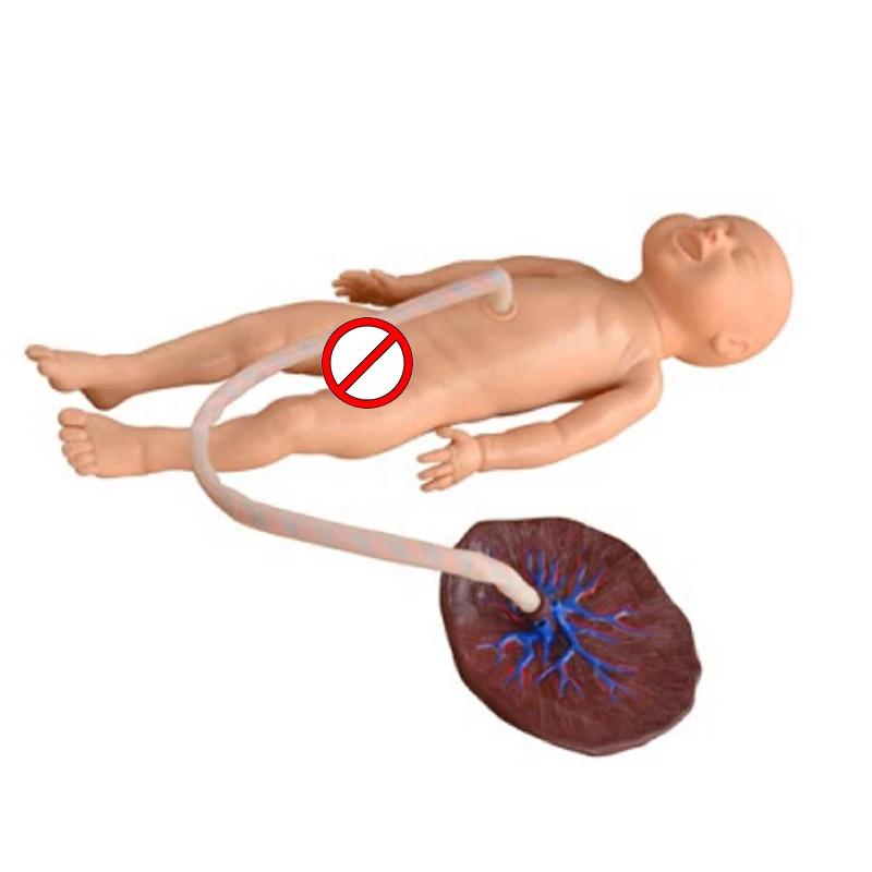 Realistic Baby Advanced Neonatal Umbilical Cord Care Model For Nursing Practice