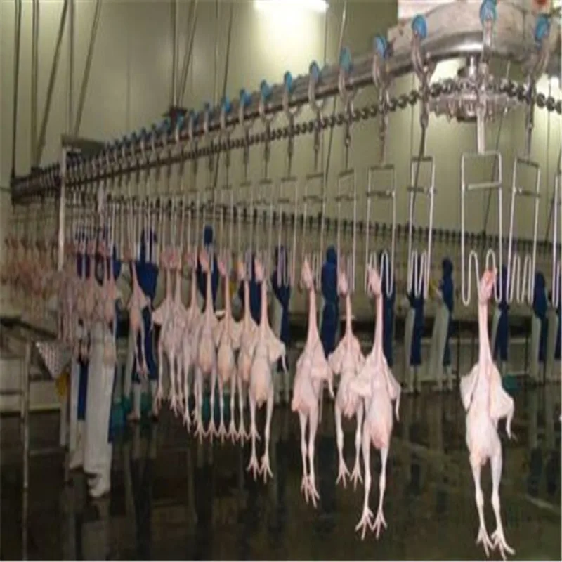 Modern Chicken Meat Processing Factory Amazing Poultry Processing Machines