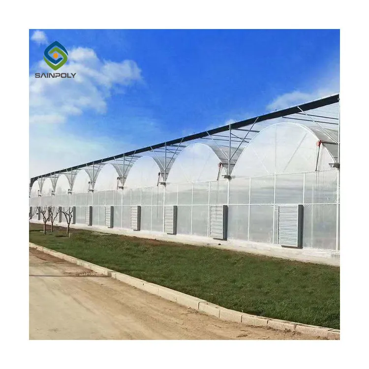 Commercial Plastic Film Tunnel Greenhouse Galvanized Agriculture Transparent Greenhouse Tunnel Garden Greenhouse