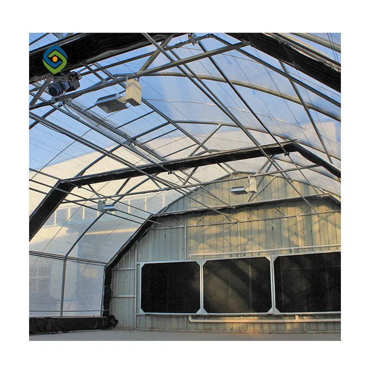 Cheap price Single-Span simple hemp greenhouse  invernadero serre agricole blackout light dep greenhouse